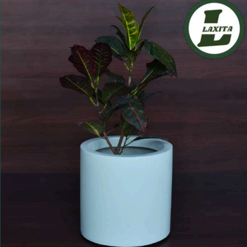 Indoor Combo – Set of any 2 Plant with Indoor pot